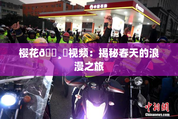 樱花🌸‌视频：揭秘春天的浪漫之旅