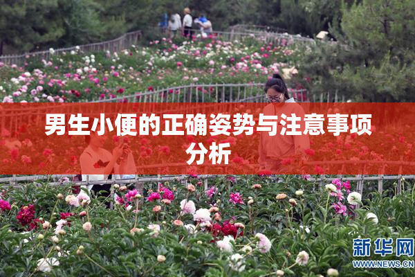 男生小便的正确姿势与注意事项分析
