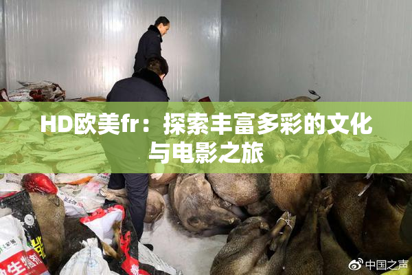 HD欧美fr：探索丰富多彩的文化与电影之旅