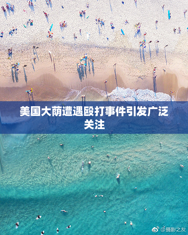 美国大荫遭遇殴打事件引发广泛关注