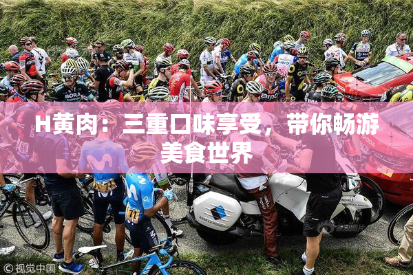 H黄肉：三重口味享受，带你畅游美食世界