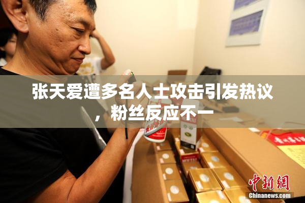 张天爱遭多名人士攻击引发热议，粉丝反应不一