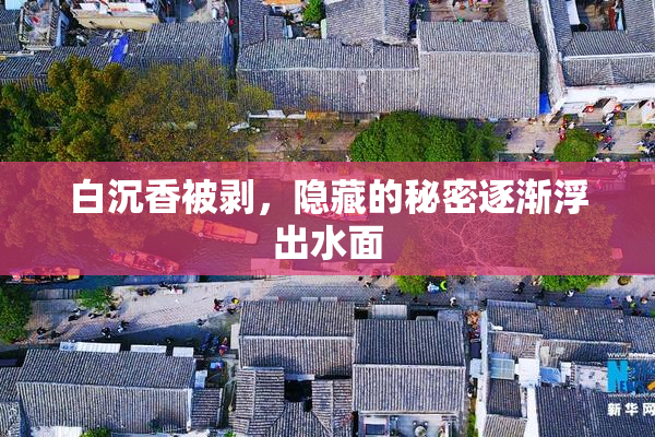 白沉香被剥，隐藏的秘密逐渐浮出水面