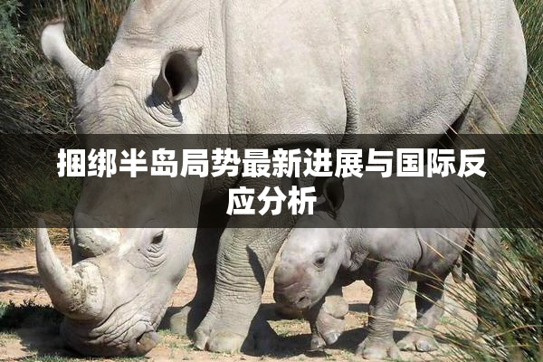 捆绑半岛局势最新进展与国际反应分析
