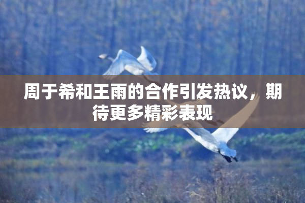 周于希和王雨的合作引发热议，期待更多精彩表现