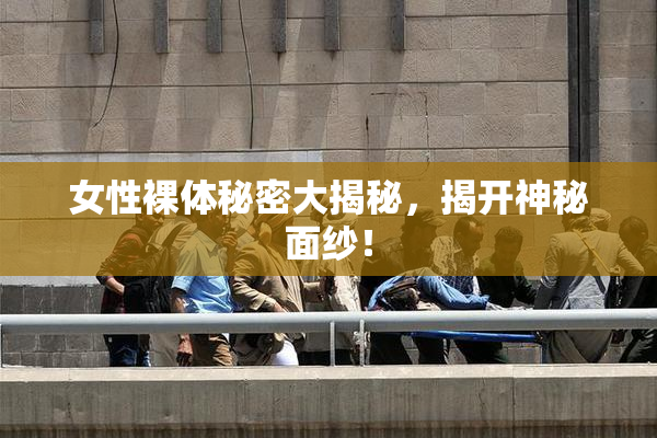 女性裸体秘密大揭秘，揭开神秘面纱！