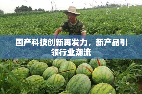 国产科技创新再发力，新产品引领行业潮流