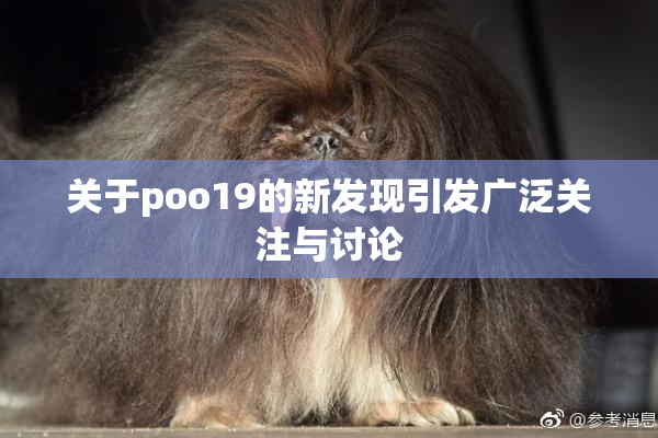 关于poo19的新发现引发广泛关注与讨论