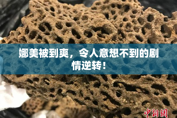 娜美被到爽，令人意想不到的剧情逆转！