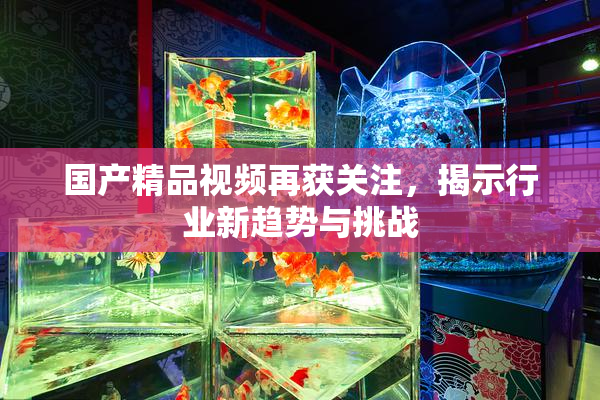 国产精品视频再获关注，揭示行业新趋势与挑战