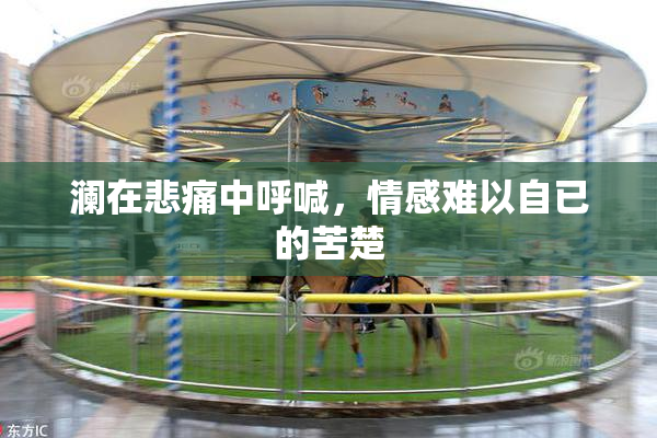 澜在悲痛中呼喊，情感难以自已的苦楚