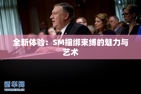 全新体验：SM捆绑束缚的魅力与艺术