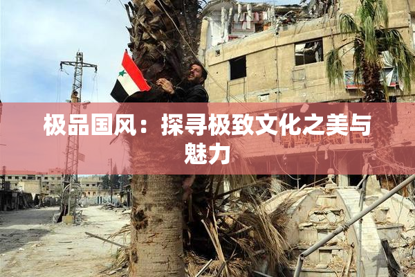 极品国风：探寻极致文化之美与魅力