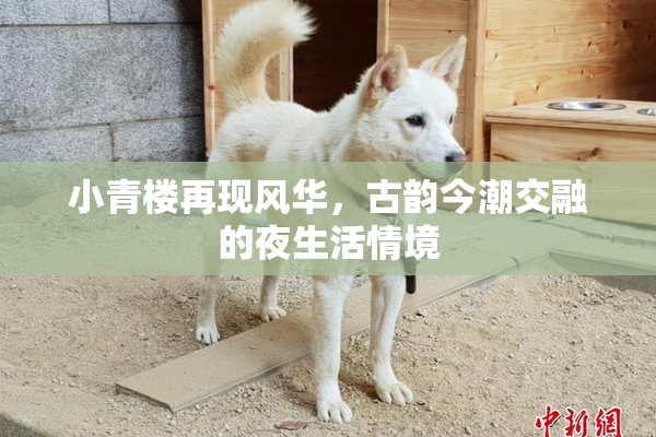 小青楼再现风华，古韵今潮交融的夜生活情境