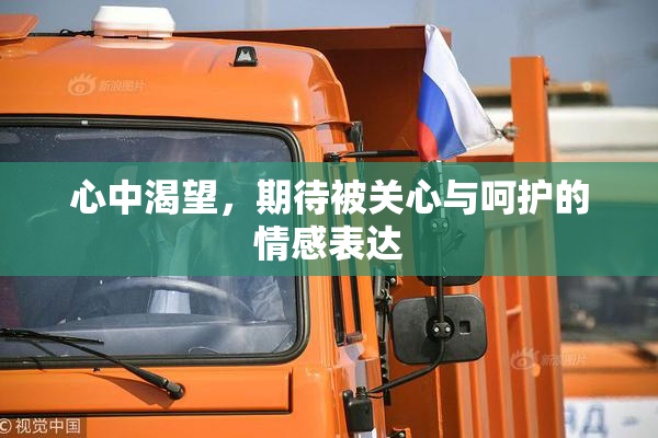 心中渴望，期待被关心与呵护的情感表达