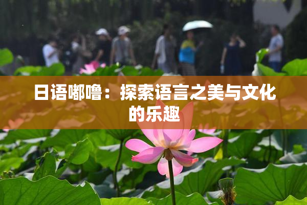 日语嘟噜：探索语言之美与文化的乐趣