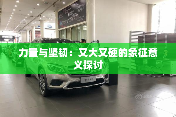 力量与坚韧：又大又硬的象征意义探讨