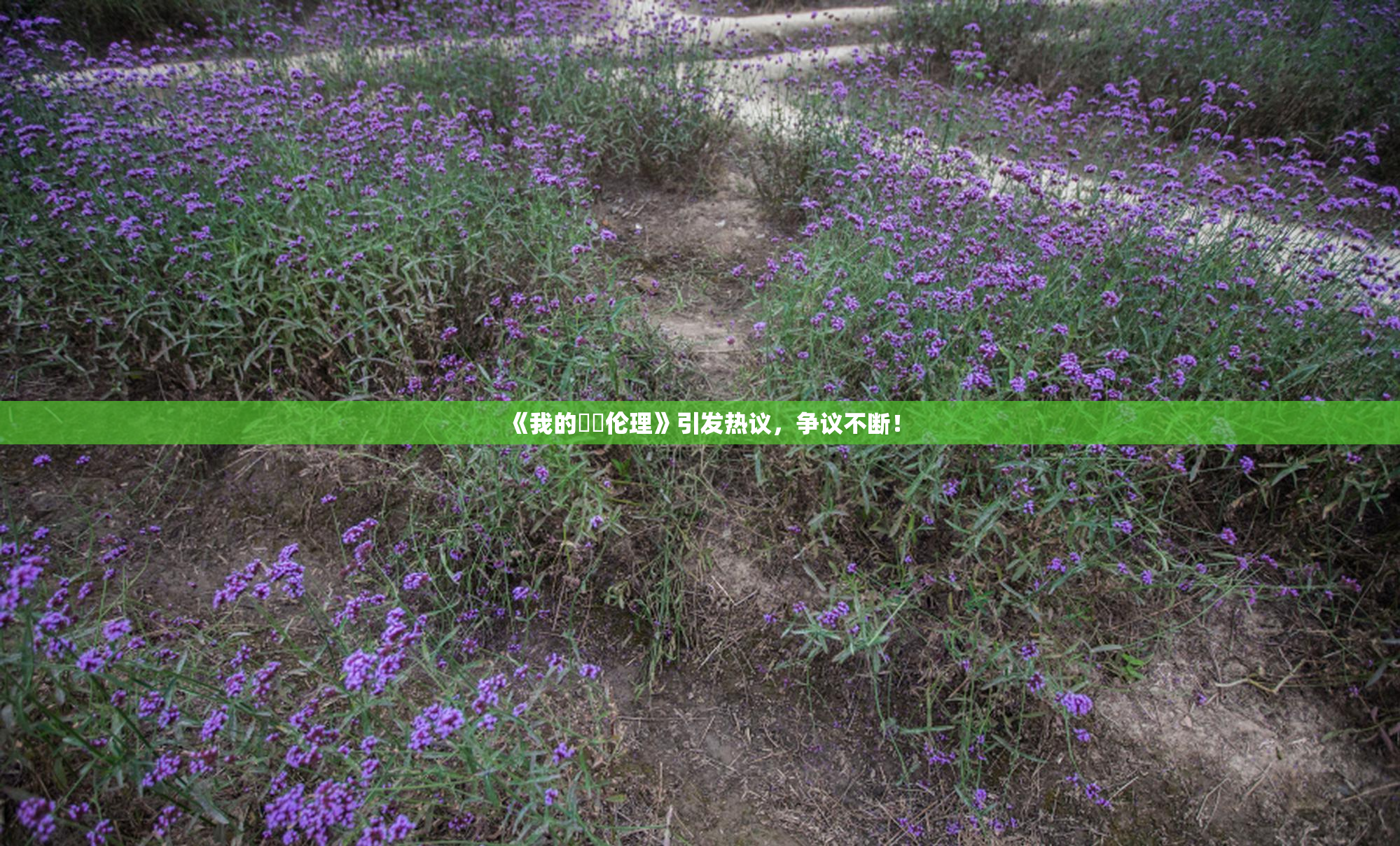 《我的妺妺伦理》引发热议，争议不断！