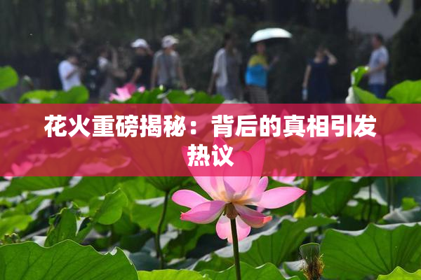 花火重磅揭秘：背后的真相引发热议