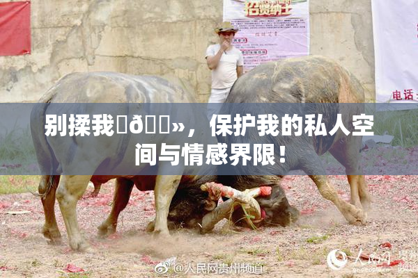 别揉我‌🐻，保护我的私人空间与情感界限！