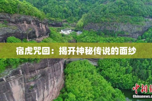宿虎咒回：揭开神秘传说的面纱