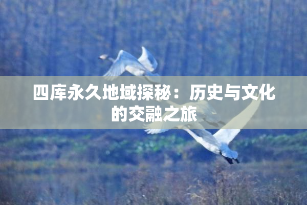 四库永久地域探秘：历史与文化的交融之旅