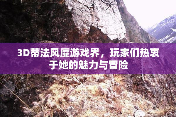 3D蒂法风靡游戏界，玩家们热衷于她的魅力与冒险