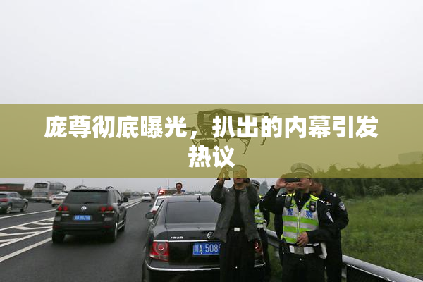 庞尊彻底曝光，扒出的内幕引发热议