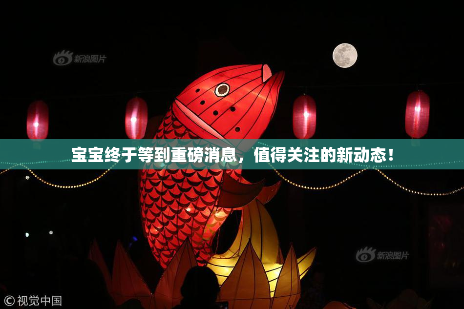 宝宝终于等到重磅消息，值得关注的新动态！