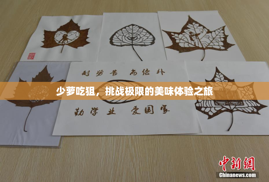 少萝吃狙，挑战极限的美味体验之旅