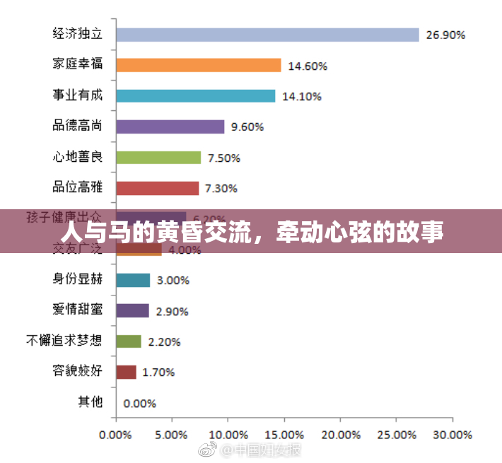 人与马的黄昏交流，牵动心弦的故事