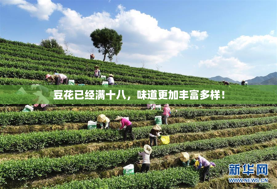 豆花已经满十八，味道更加丰富多样！