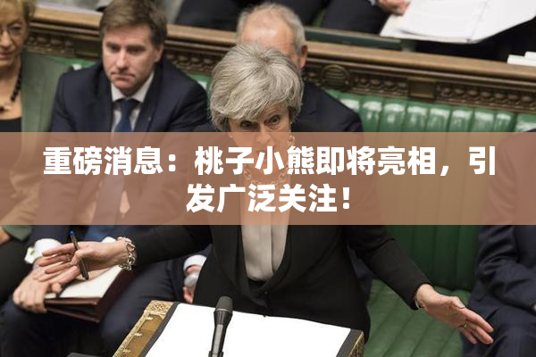 重磅消息：桃子小熊即将亮相，引发广泛关注！