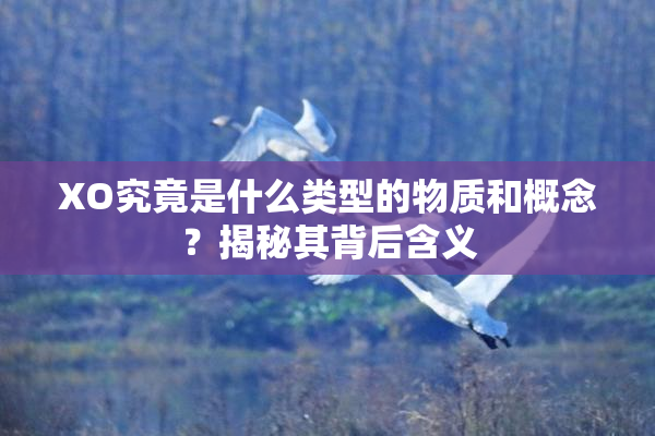 XO究竟是什么类型的物质和概念？揭秘其背后含义