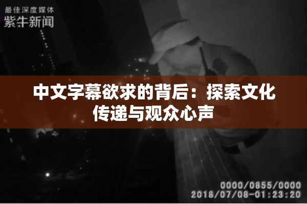 中文字幕欲求的背后：探索文化传递与观众心声