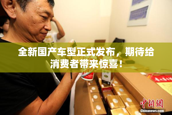全新国产车型正式发布，期待给消费者带来惊喜！