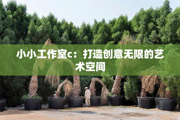 小小工作室c：打造创意无限的艺术空间
