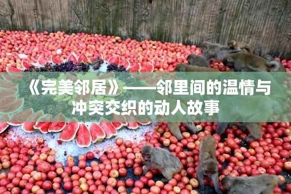 《完美邻居》——邻里间的温情与冲突交织的动人故事