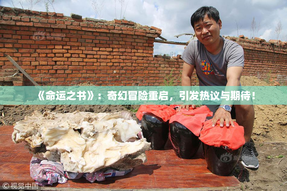 《命运之书》：奇幻冒险重启，引发热议与期待！