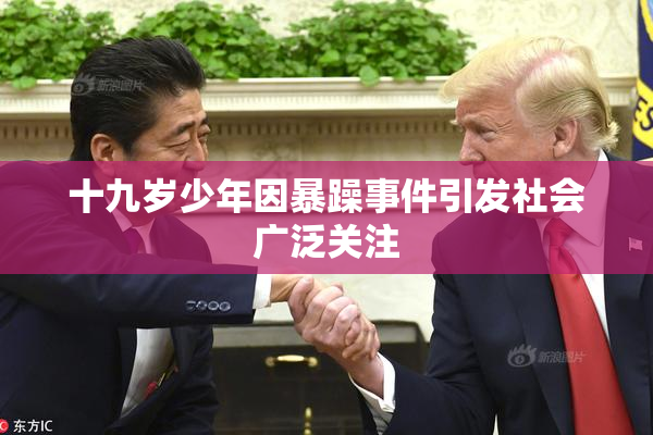 十九岁少年因暴躁事件引发社会广泛关注