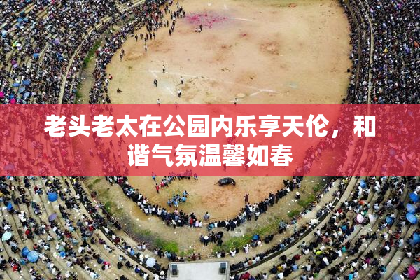 老头老太在公园内乐享天伦，和谐气氛温馨如春