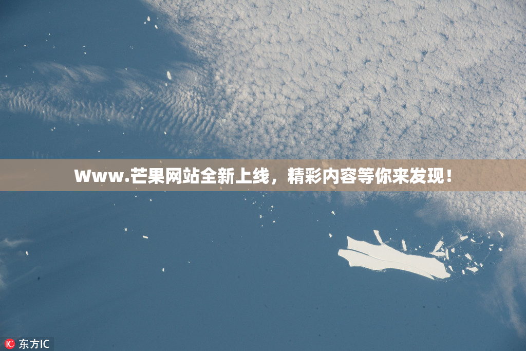 Www.芒果网站全新上线，精彩内容等你来发现！