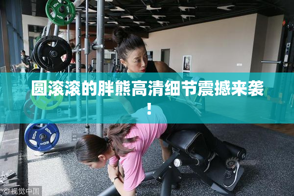 圆滚滚的胖熊高清细节震撼来袭！