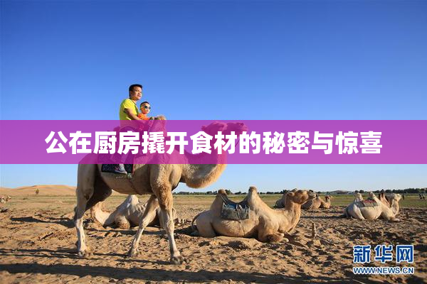 公在厨房撬开食材的秘密与惊喜