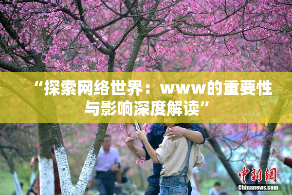 “探索网络世界：www的重要性与影响深度解读”