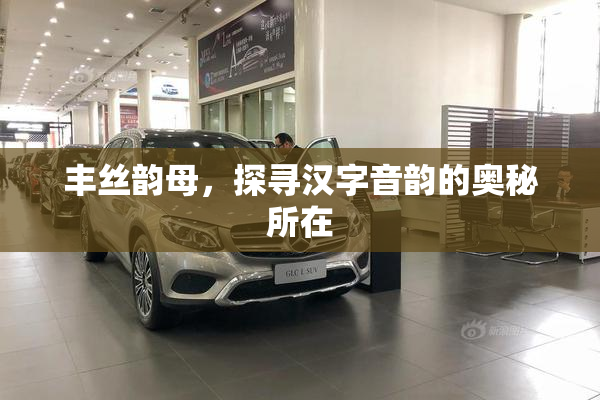 丰丝韵母，探寻汉字音韵的奥秘所在