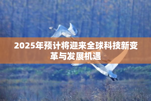 2025年预计将迎来全球科技新变革与发展机遇