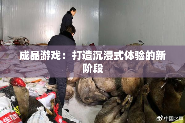 成品游戏：打造沉浸式体验的新阶段