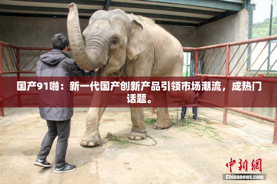 国产91啪：新一代国产创新产品引领市场潮流，成热门话题。