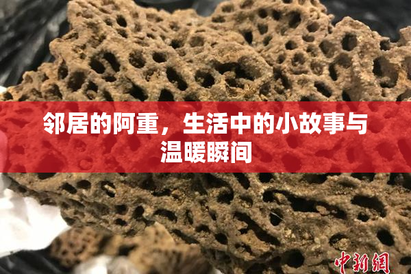 邻居的阿重，生活中的小故事与温暖瞬间